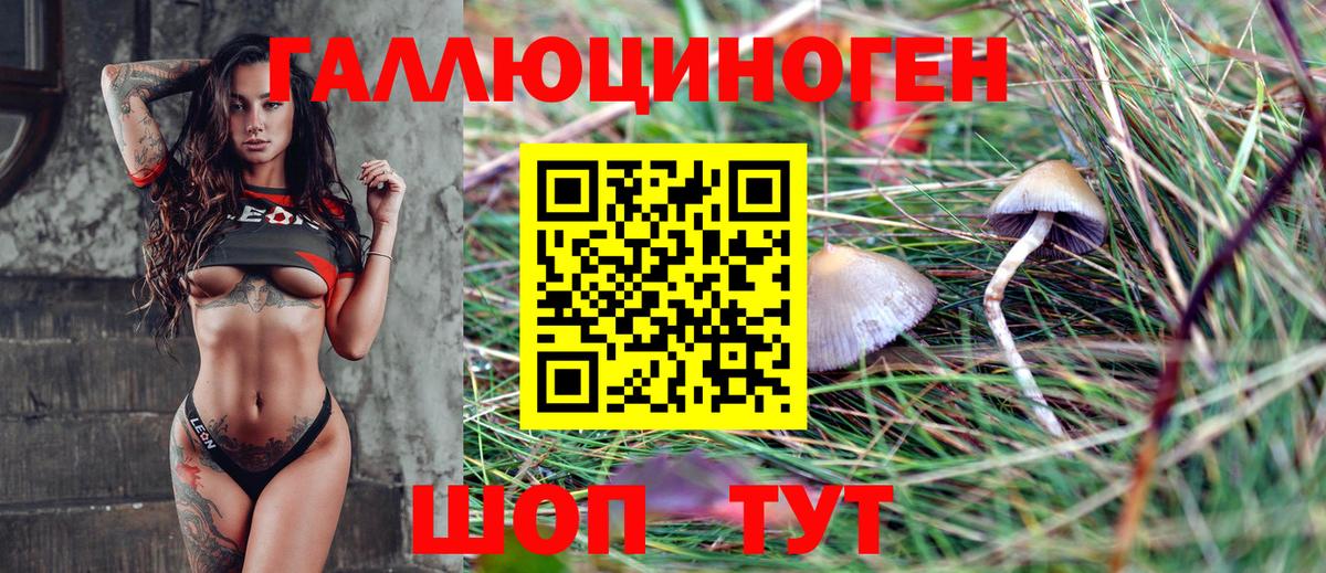 Псилоцибиновые грибы Cubensis Пыть-Ях