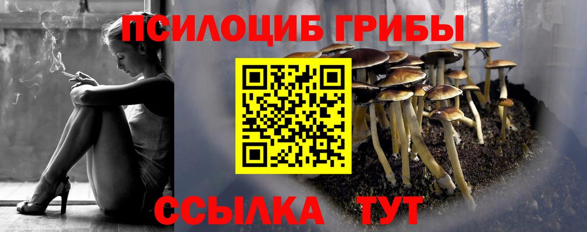 Пыть-Ях  Псилоцибиновые грибы мухоморы  Вход с VPN 